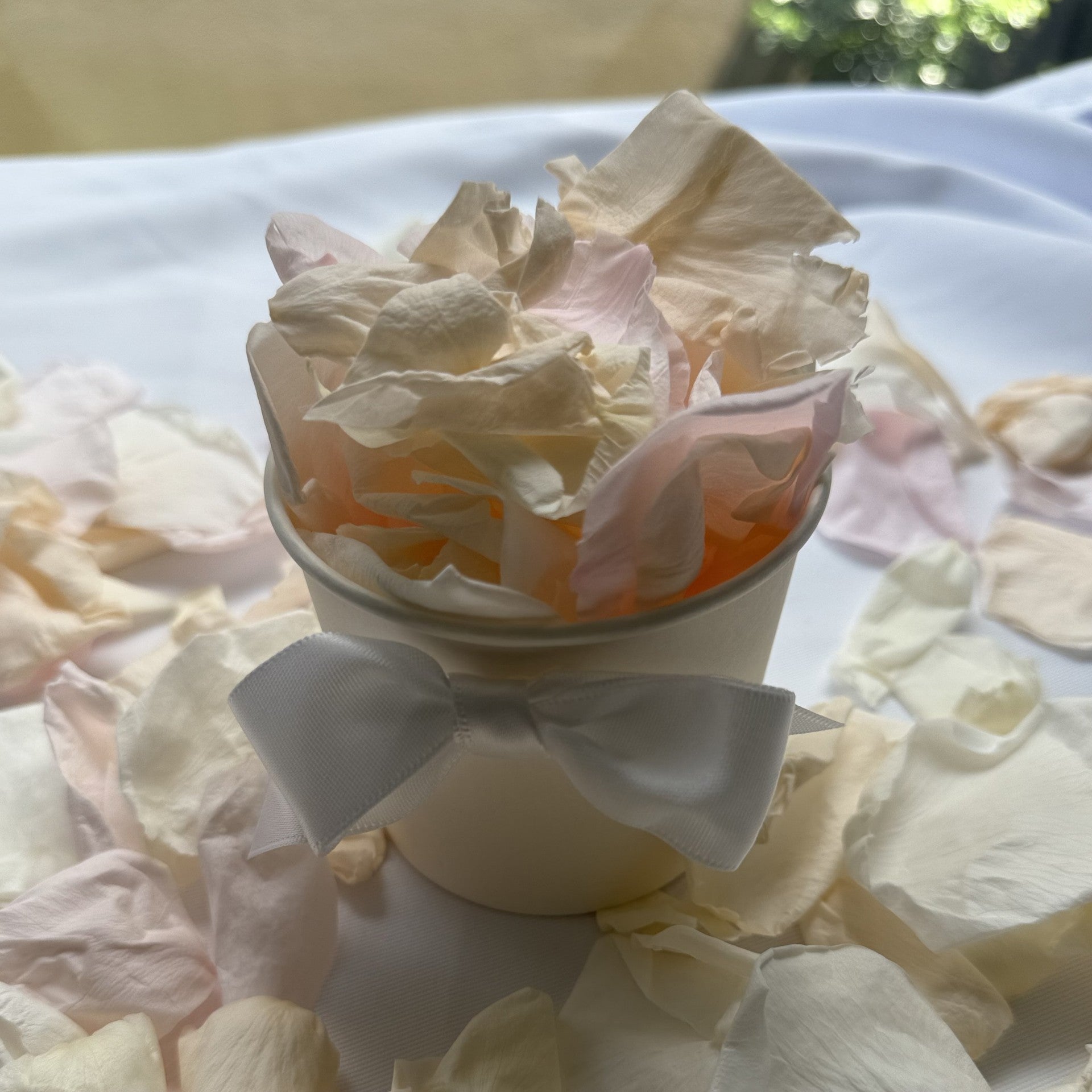 30 Individually Pre-Packaged Tubs Biodegradable Rose Petal Confetti- Pastel Perfection