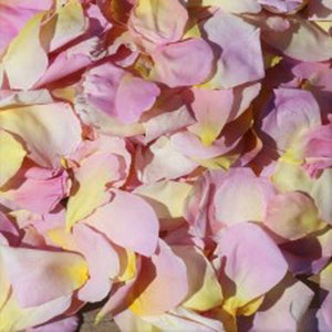 Spring Breeze Freeze Dried Rose Petal Confetti