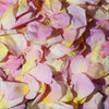 Freeze Dried Rose Petal Confetti Spring Breeze.