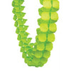 Lime Green Honeycomb Garland Teal 4m