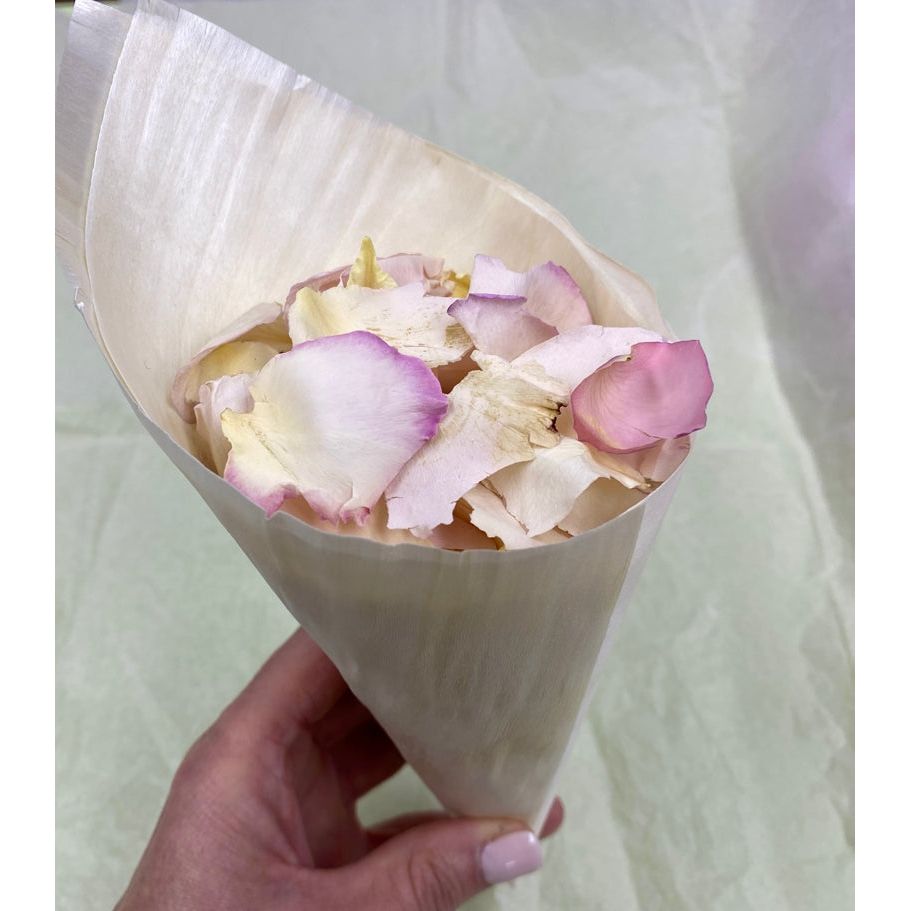 Wooden Cones 12.5x 4.5cm Pack 50