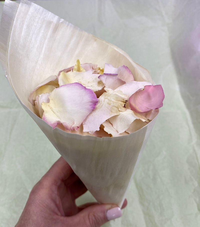 Wooden Wedding Confetti Cones Medium  12.5x 4.5cm Pack of 25