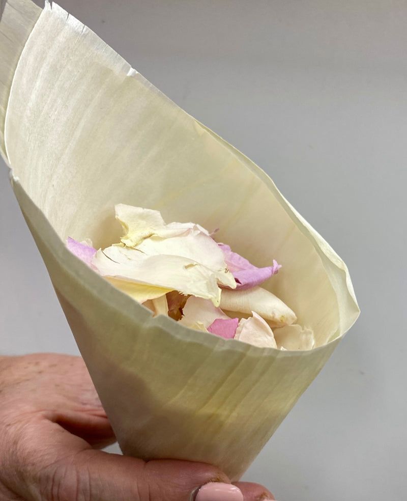 Wooden Wedding Confetti Cones  Large 23cm x 9cm Pack of 25