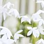 Backdrop white paper origami flower backdrop to hang