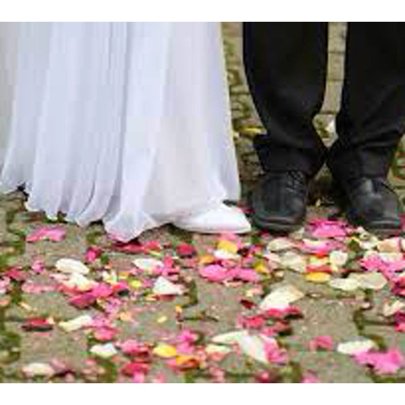Wedding Confetti holder tray White holds up to 20 cones