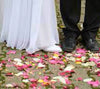 Wedding Confetti holder tray  holds up to 20 cones