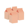 Party Boxes Pastel Peach Pack of 10